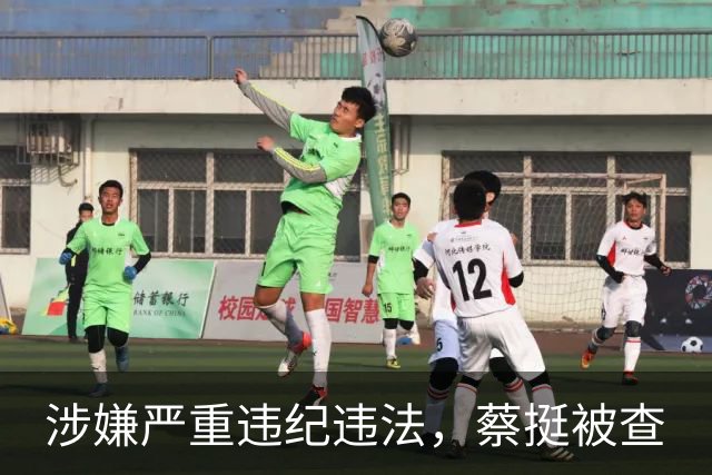 涉嫌严重违纪违法，蔡挺被查