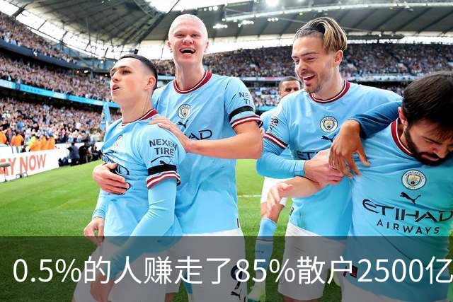 0.5%的人赚走了85%散户2500亿——泡沫与崩溃中的财富再分配