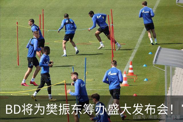 BD将为樊振东筹办盛大发布会！官方晒成绩欢迎 名嘴盼27年回归国乒